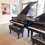 1927 Steinway & Sons M Traditional Grand #254943 #0