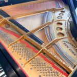 1927 Steinway & Sons M Traditional Grand #254943 #1
