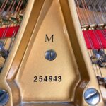 1927 Steinway & Sons M Traditional Grand #254943 #2