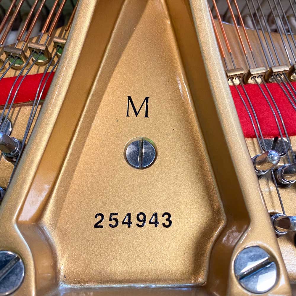 1927 Steinway & Sons M Traditional Grand #254943