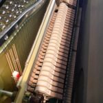 2023 Yamaha YUS5 Traditional Upright #6574146 #1