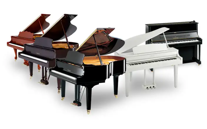 Allocated Pianos Include