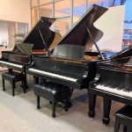 1912 Steinway & Sons B Traditional Grand #156219 #0