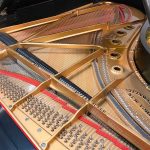 1912 Steinway & Sons B Traditional Grand #156219 #2