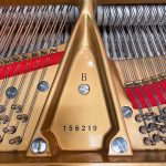 1912 Steinway & Sons B Traditional Grand #156219 #4