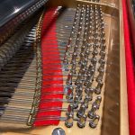 1912 Steinway & Sons B Traditional Grand #156219 #3