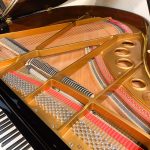 2004 Pearl River GP159 Traditional Grand #955435 #1