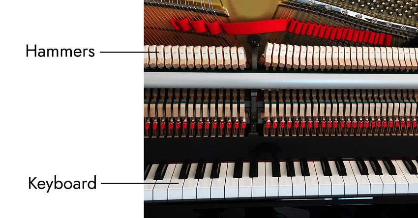 Keyboard & Hammers