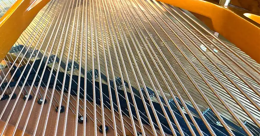 Strings