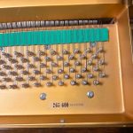 1995 Weinbach 170 Traditional Grand #265600 #2