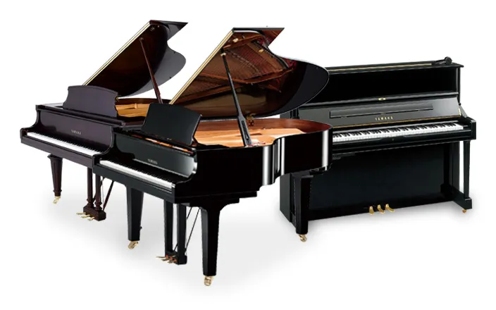 Allocated Pianos Include