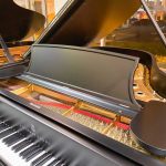 1900 Steinway & Sons A Traditional Grand #98274 #1