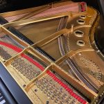1900 Steinway & Sons A Traditional Grand #98274 #4