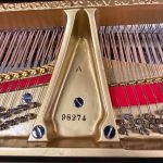 1900 Steinway & Sons A Traditional Grand #98274 #8