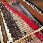 1900 Steinway & Sons A Traditional Grand #98274 #5