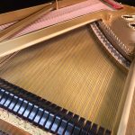 1900 Steinway & Sons A Traditional Grand #98274 #6