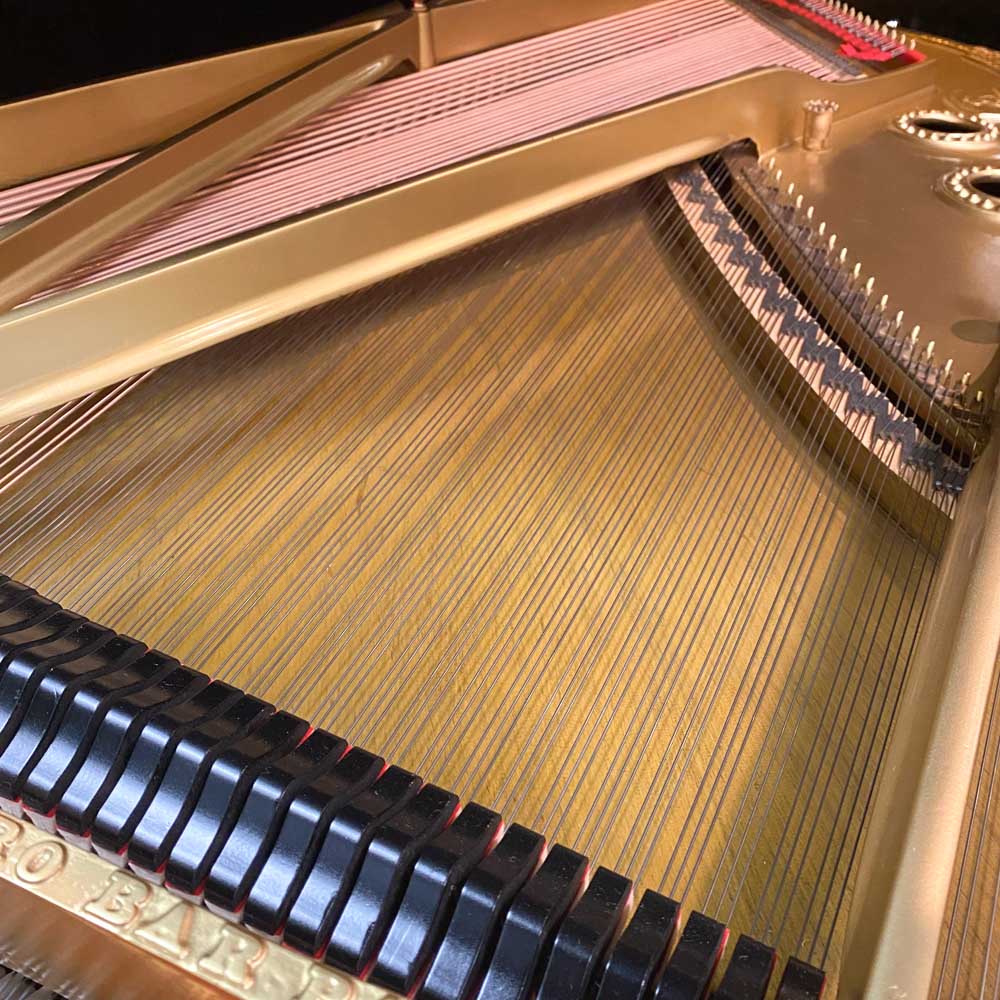 1900 Steinway & Sons A Traditional Grand #98274
