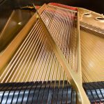 1900 Steinway & Sons A Traditional Grand #98274 #7