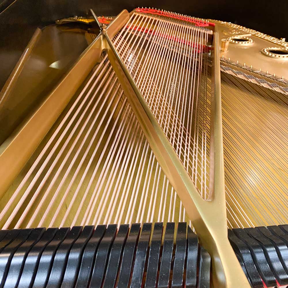 1900 Steinway & Sons A Traditional Grand #98274