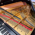 1915 Steinway & Sons M Traditional Grand #170462 #4