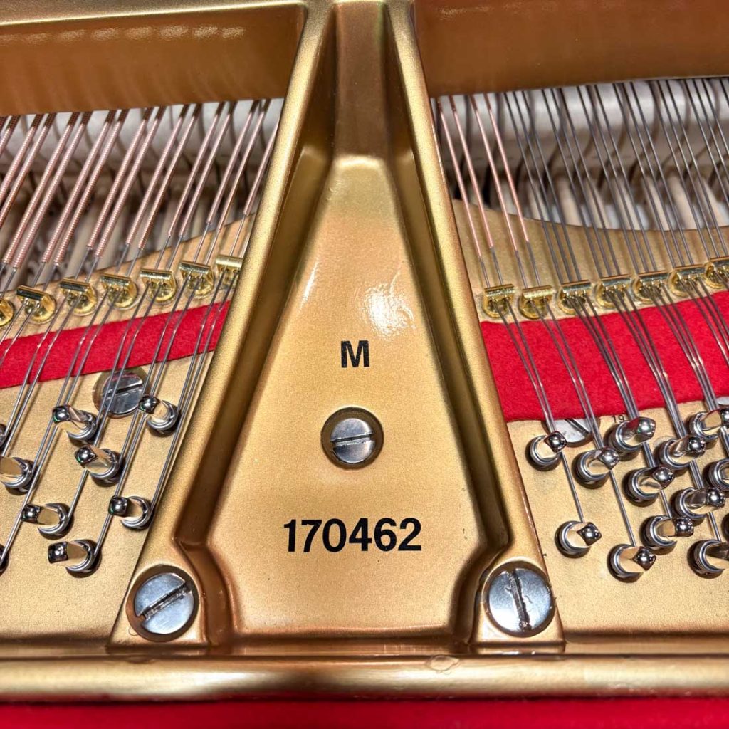 1915 Steinway & Sons M Traditional Grand #170462