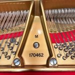 1915 Steinway & Sons M Traditional Grand #170462 #8