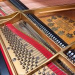 1915 Steinway & Sons M Traditional Grand #170462 #5