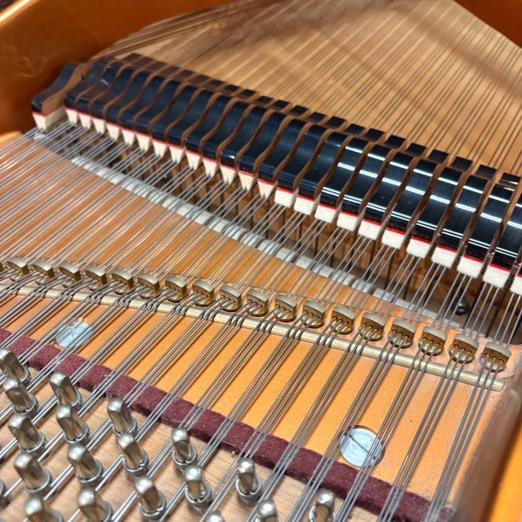 2006 Bösendorfer 214 SSCS Traditional Grand #48196