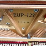 2013 Essex EUP-123 Traditional Upright #E135813C #3