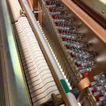 2013 Essex EUP-123 Traditional Upright #E135813C #1