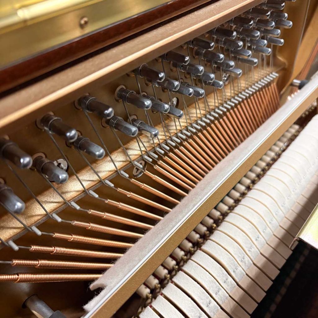 2013 Essex EUP-123 Traditional Upright #E135813C