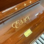 2013 Essex EUP-123 Traditional Upright #E135813C #5
