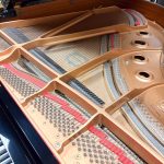 1999 Yamaha C1 Traditional Grand #5812670 #1