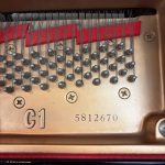 1999 Yamaha C1 Traditional Grand #5812670 #2