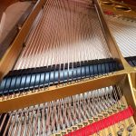 1912 Steinway & Sons O Traditional Grand #156272 #5