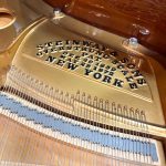 1901 Steinway & Sons O Traditional Grand #103910 #5