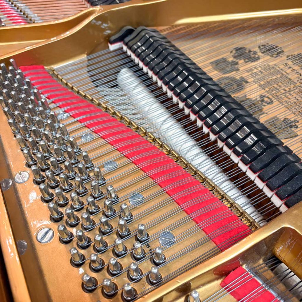 1901 Steinway & Sons O Traditional Grand #103910