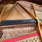 1901 Steinway & Sons O Traditional Grand #103910 #7