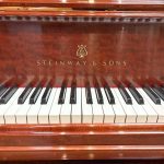 1901 Steinway & Sons O Traditional Grand #103910 #9