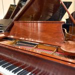1901 Steinway & Sons O Traditional Grand #103910 #1