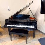 1994 Boston GP-218 Traditional Grand #109393 #0