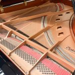 1994 Boston GP-218 Traditional Grand #109393 #1