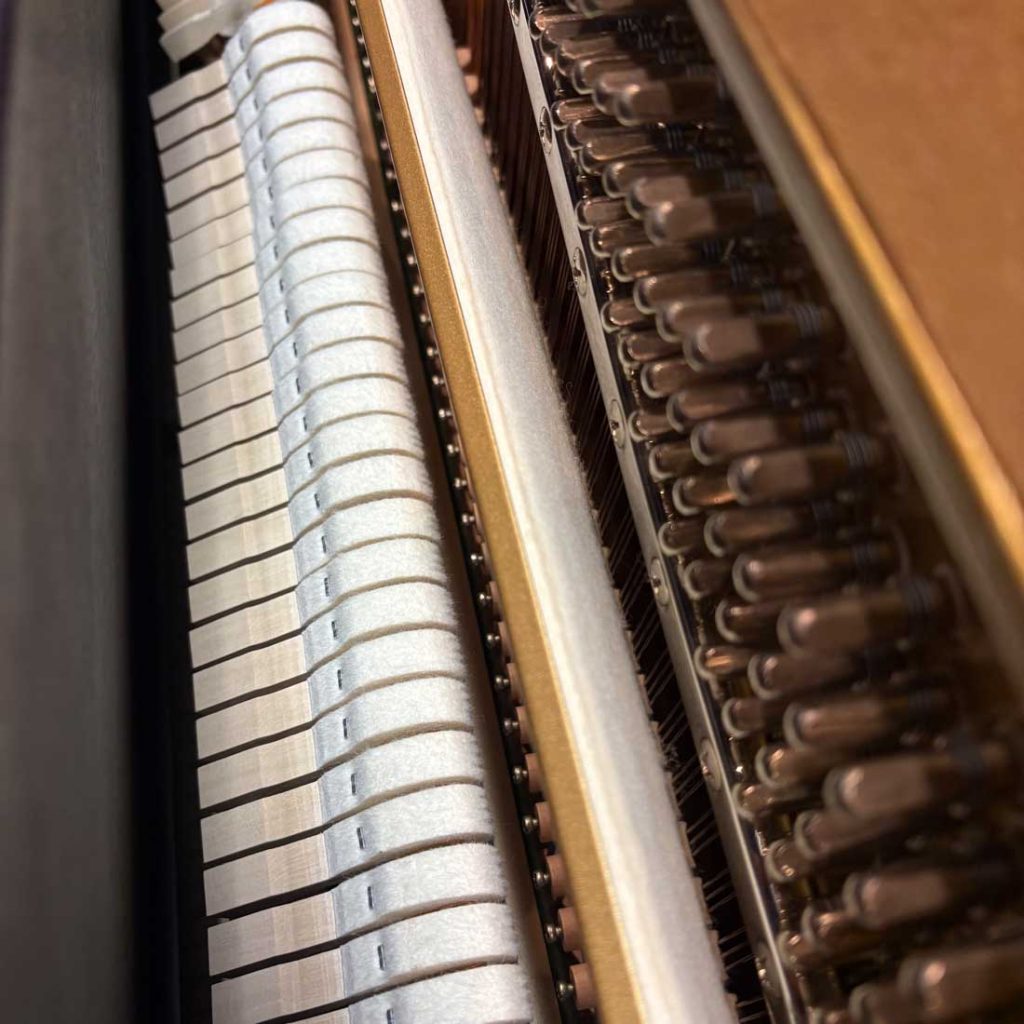 2023 Yamaha P22 Traditional Upright #J39496098