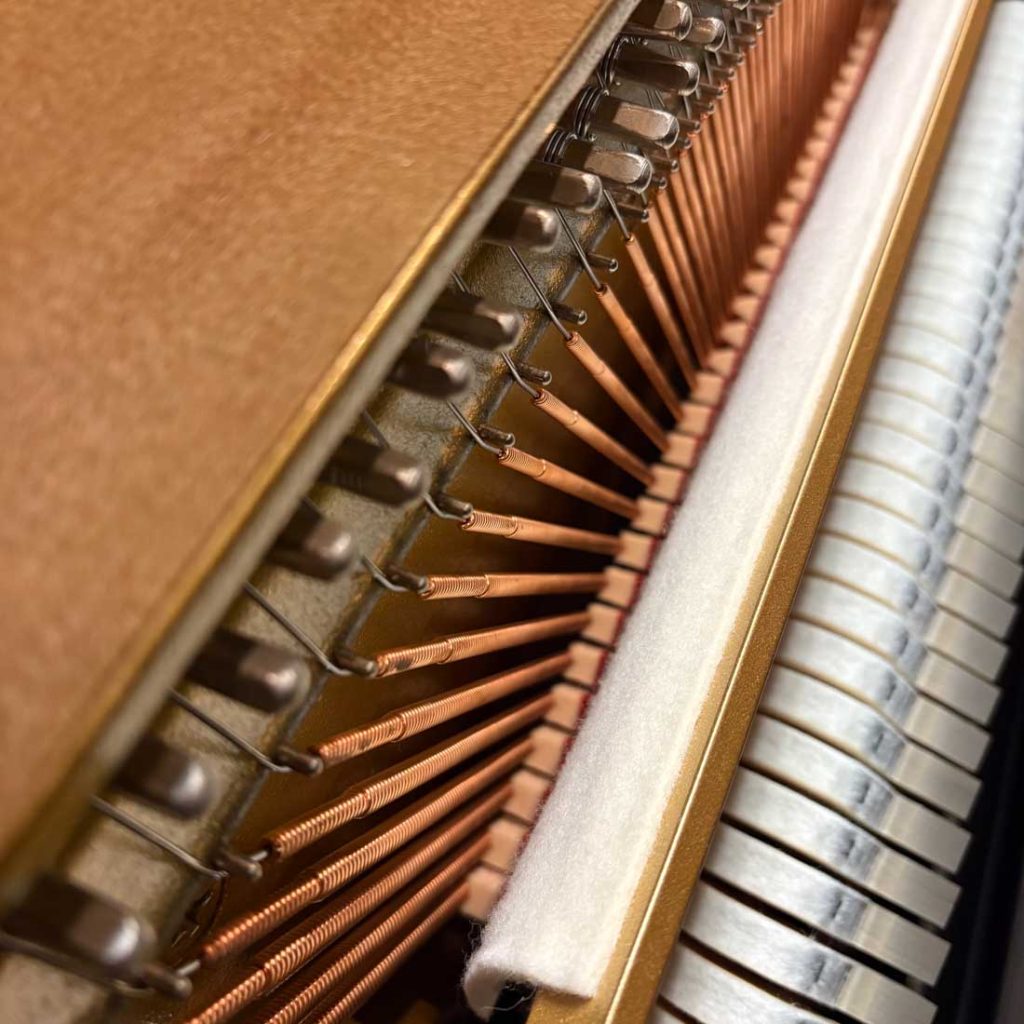 2023 Yamaha P22 Traditional Upright #J39496098