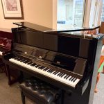 2007 Palatino UP-124 Traditional Upright #11389 #1