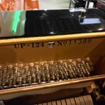 2007 Palatino UP-124 Traditional Upright #11389 #4