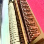 2015 Yamaha P22 Traditional Upright #J32307079 #1