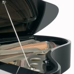 Bösendorfer Design by F.A. Porsche Grand #5
