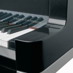 Bösendorfer Design by F.A. Porsche Grand #8