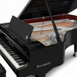 Bösendorfer 250 Years Beethoven 214VC Grand #3